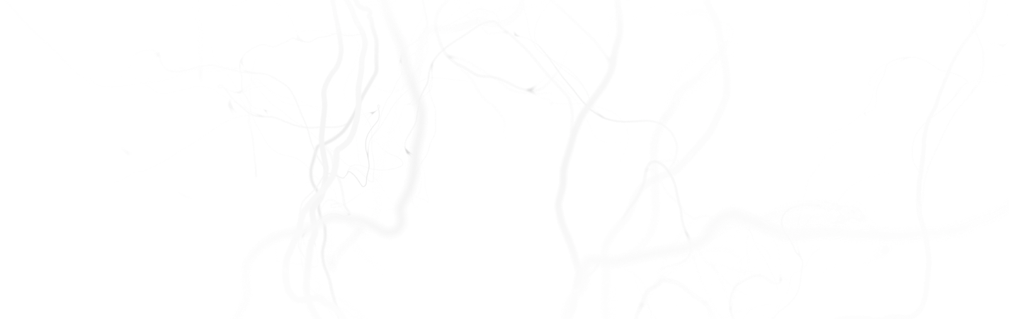 Page Title Image